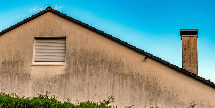 Sanacija fasad zaradi biolo&scaron;kih obremenitev: plesen, alge in li&scaron;aji
